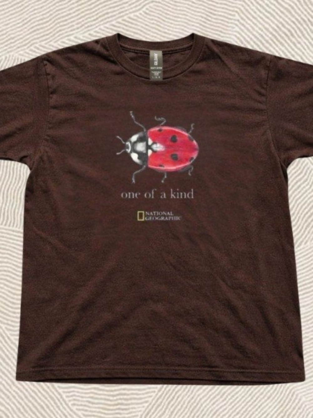 Gildan Brown T‑Shirt with Red Ladybug Graphic